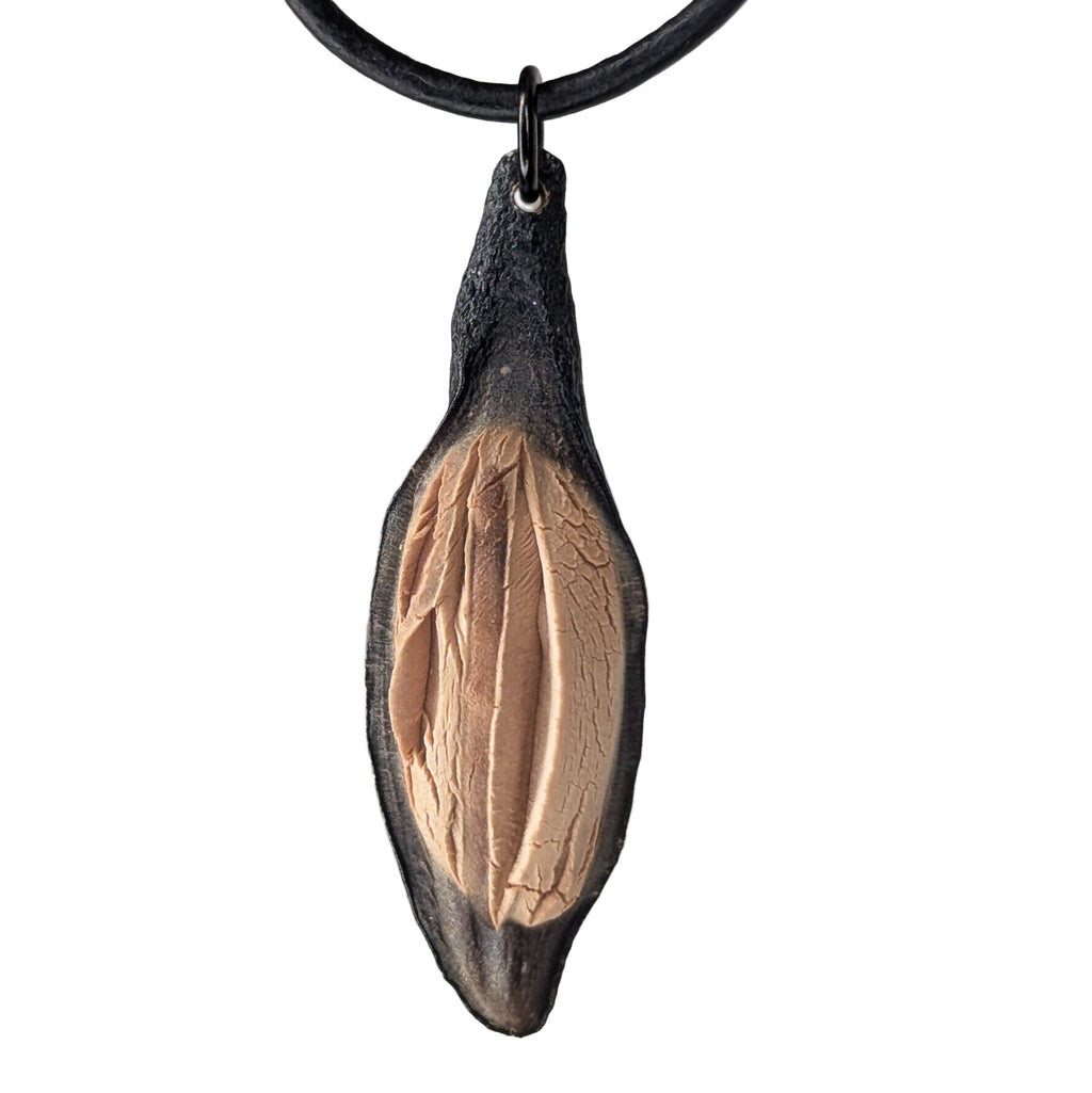 Caulerionyx