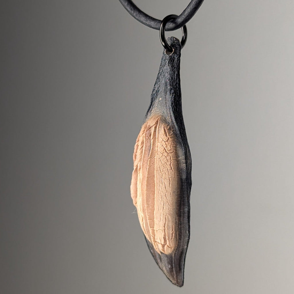 Caulerionyx