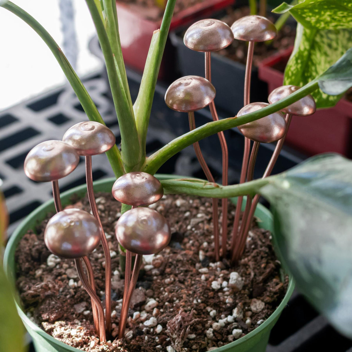 Copper Mushroom Plant Decor