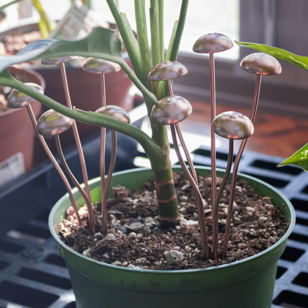 Copper Mushroom Plant Decor