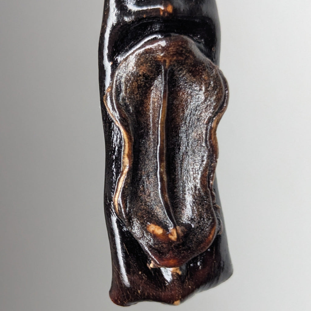 Fucyra