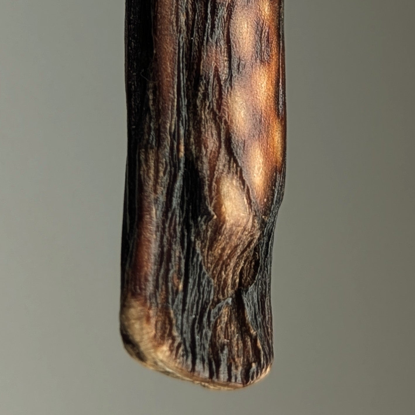Halimea