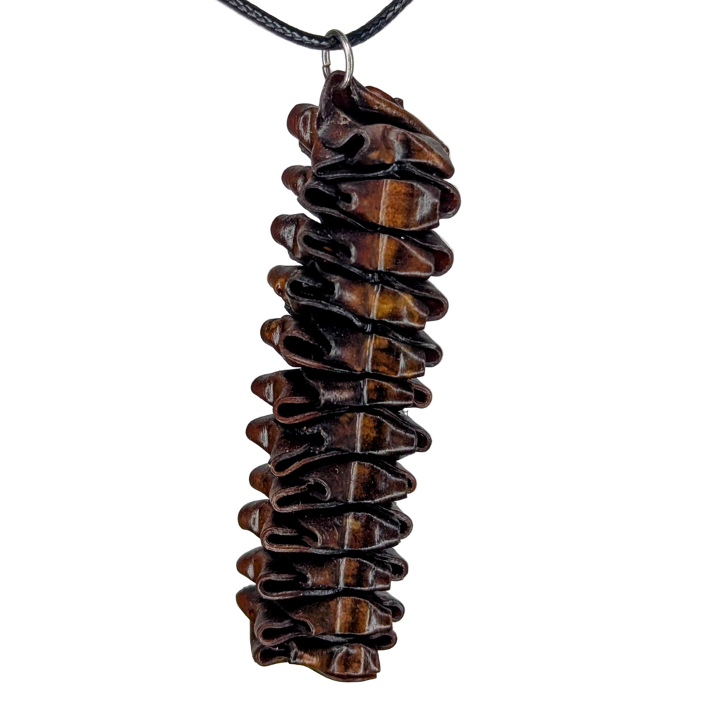 Turbinae