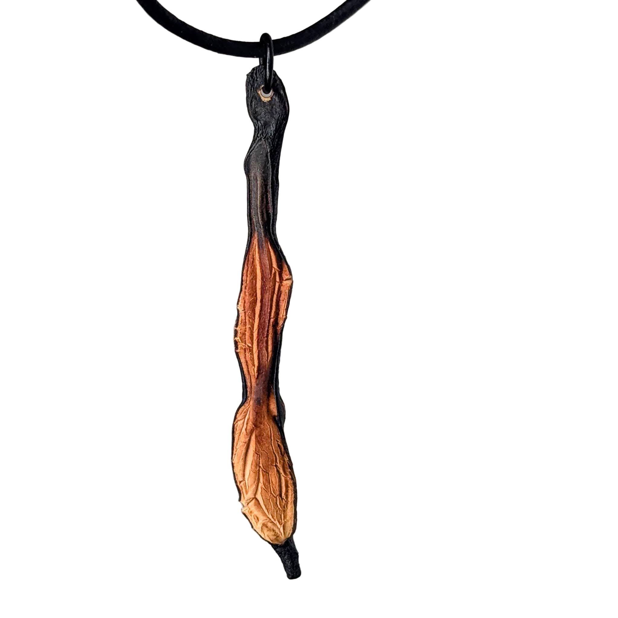Sargyx