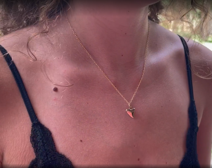 Shark Tooth Necklace, 18" Gold Filled Chain - As Seen on Netflix’s The Ultimatum